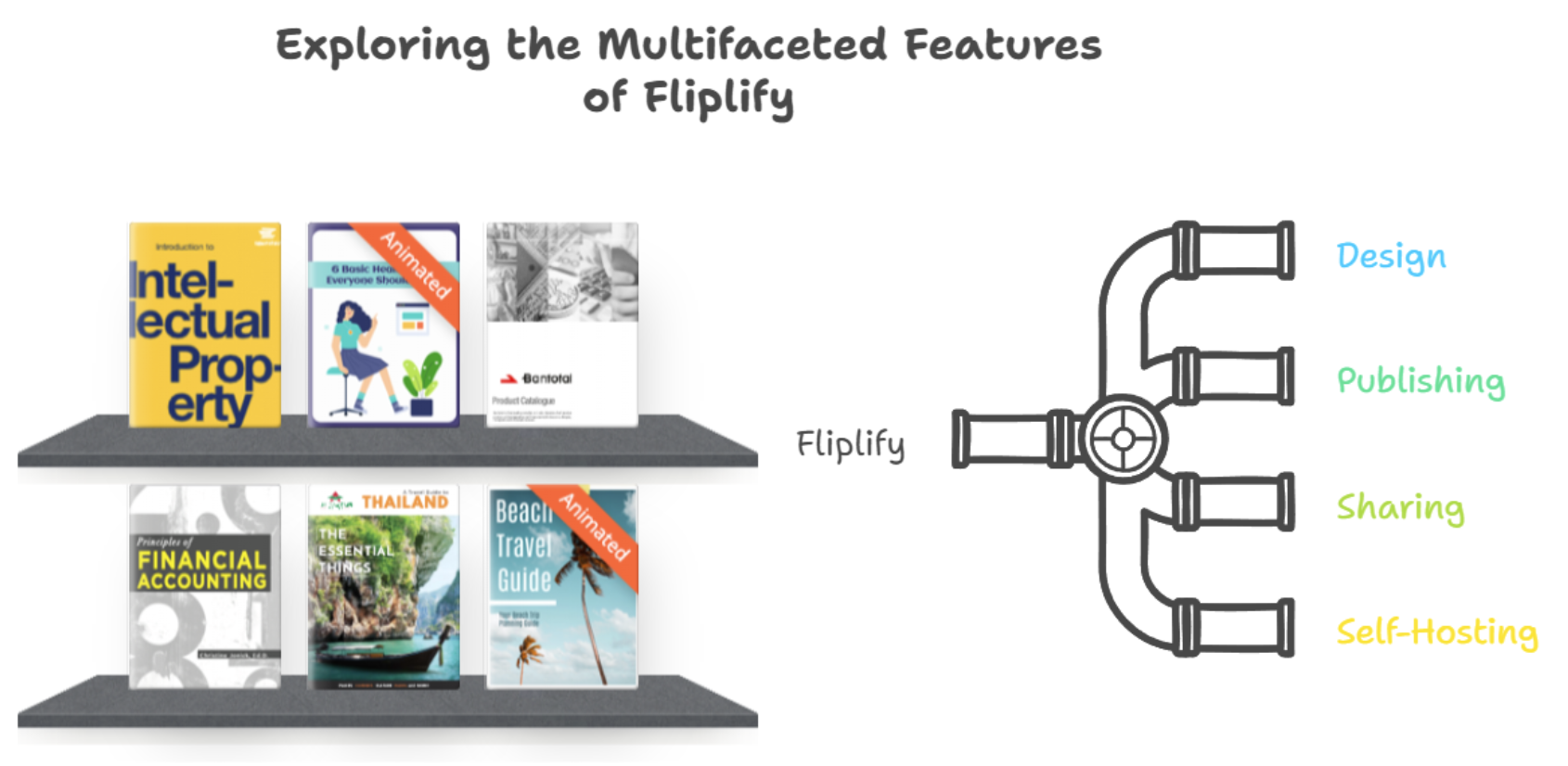 Exploring the Multifaceted Features of Fliplify